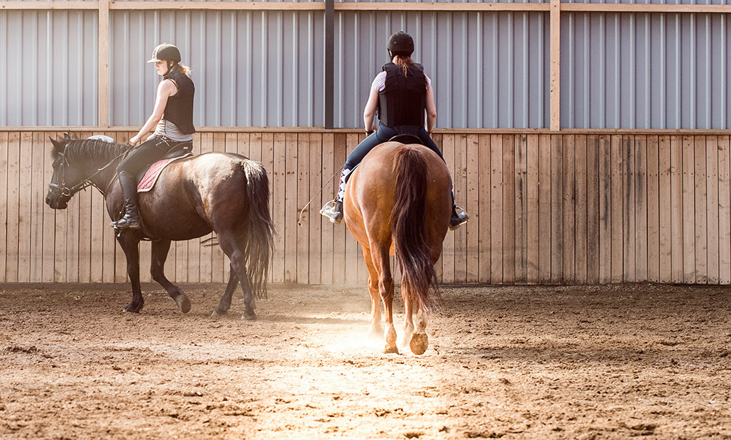 Rideefterskole hos Bråskovgård
